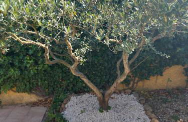 Le Mas du Ruisseau - Foto 51