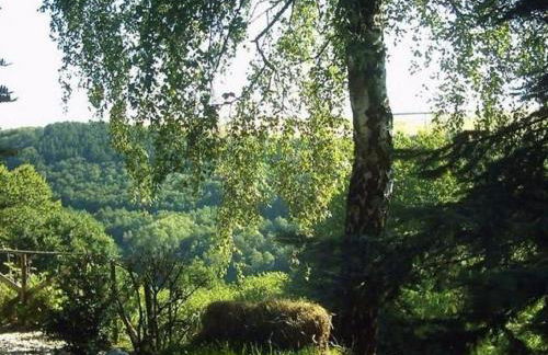 Morbach Hillside Mansion - Foto 39