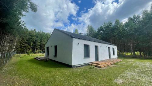 BoroweDomki - Foto 5, Garden, Garden view