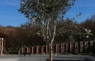 Cà d'Rita Monferrato - idromassaggio e piscina esterni - Foto 42