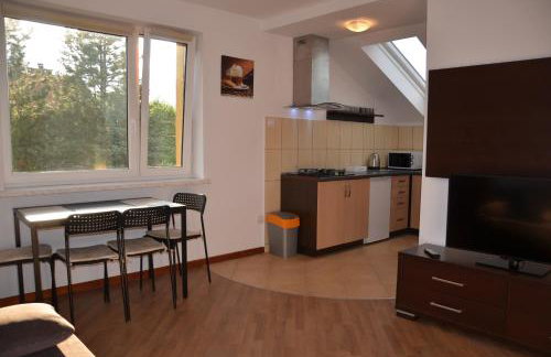 Apartamenty Milówka Centrum - Photo 25