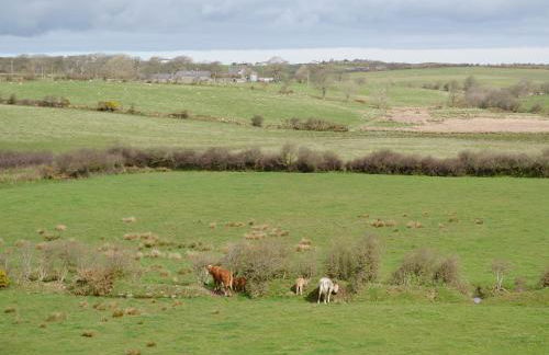 The Windmill - Foto 18