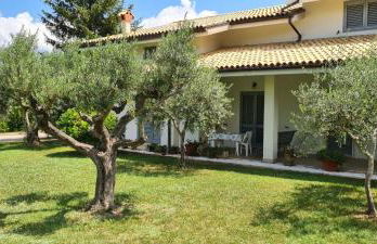 Green Paradise - Foto 19