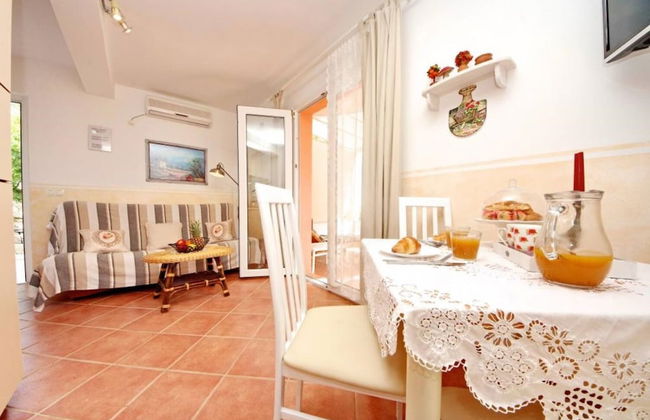 Dino - Gorgeous Garden - SA1 Zavala - Photo 17