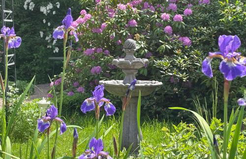 Ferienwohnung Preziosa - Foto 17