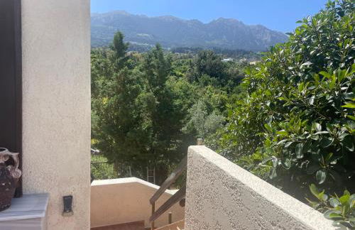 Carpe Diem - Photo 41