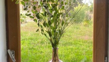 Maison de charme dans un Écrin de Verdure et calme - Foto 5