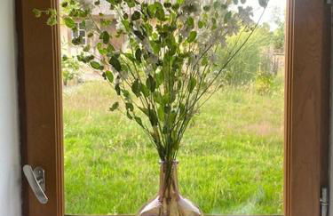 Maison de charme dans un Écrin de Verdure et calme - Foto 5