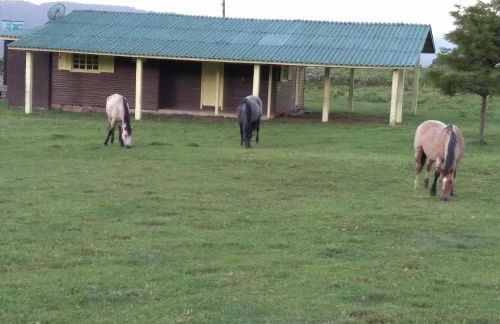 POUSADA FAZENDA PAIM - Foto 63
