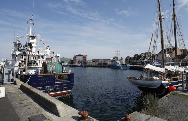 Mälarhusen Semesterby Österlen - Stugor & Gårdssviter - Photo 58