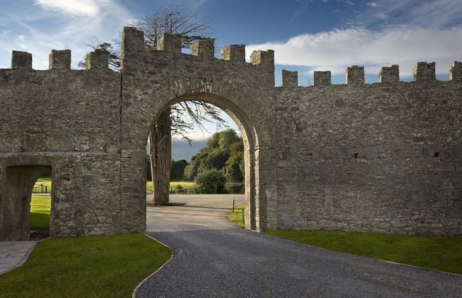 Castlemartyr Mews - Foto 51