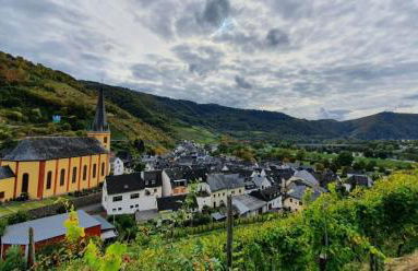 Ferienwohnung an der Mosel, Romeo - Foto 13