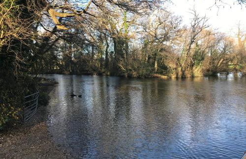 Primrose Cottage - Photo 25