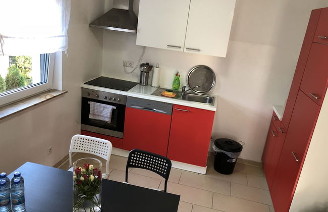 Sahara Falcon - Foto 56