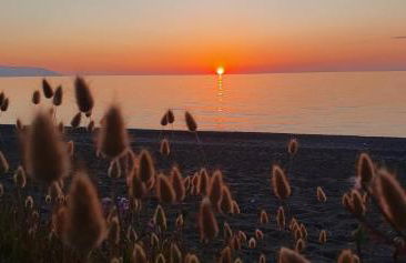 House le Ancore - Foto 19