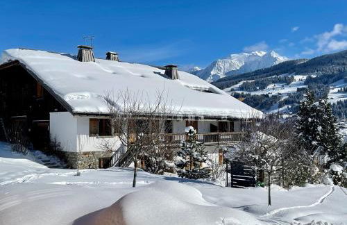 Chalet à Megève-Vauvray - Grands Appartements , vue Mont Blanc - Foto 15
