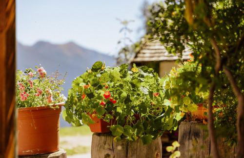 Tendershof Reschen - Foto 60