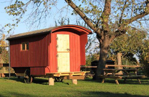 Schäferwagen im Leipziger Neuseenland - Foto 16