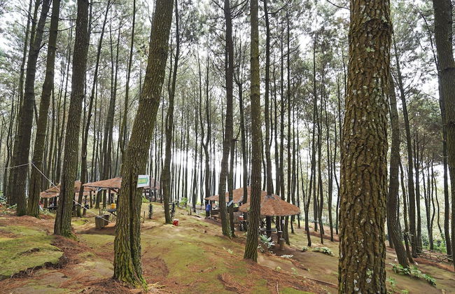 Hotel O Eco Tourism Desa Cipada Bukit Senyum Homestay Syariah - Photo 35