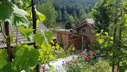 Holzhaus am See mit Panoramablick - Foto 3, Garden