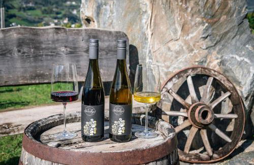 Steindlgut - Weinberg Chalets - Foto 42