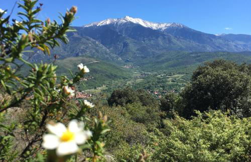 Les loges de la suite - Foto 25