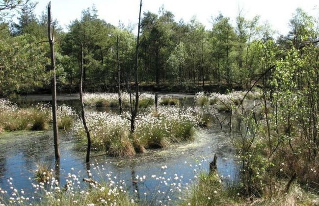 Sophienhof Lieselotte - Foto 19