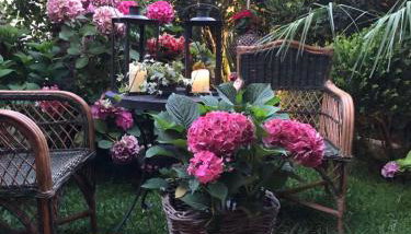 Maisonette on the beach with small garden - Foto 2