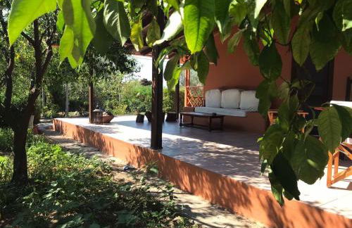 Tzitzikari, Private Cottage in a Citrus Garden - Foto 3