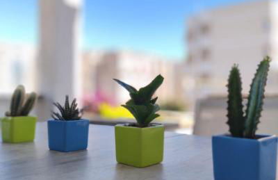 Moradía - alloggio turistico - Photo 13