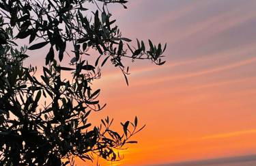 TENUTA TAURIANUM PanoramicHouse e PanoramicB&B - Photo 62