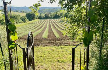 Agriturismo CasaViVa - Photo 17
