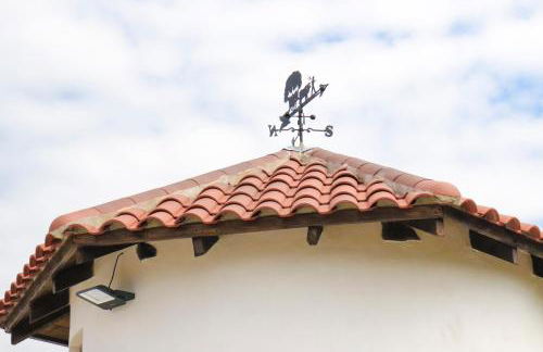 Pura Agro Vida - Foto 4