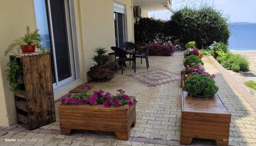 Serene Vintage - Foto 5, Garden view