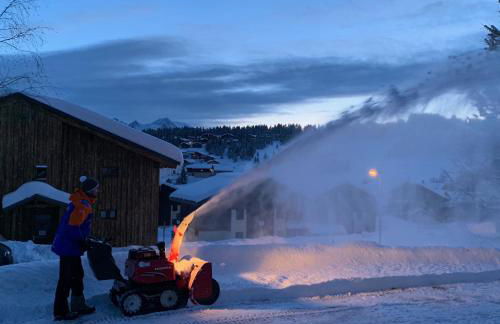 APPARTEMENT PLEIN SUD AUX SAISIES n3 - Foto 36