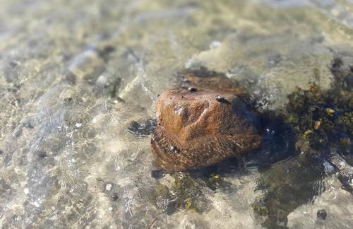 Über den Dächern von Flensburg Mürwiker Strasse 187 - Foto 19