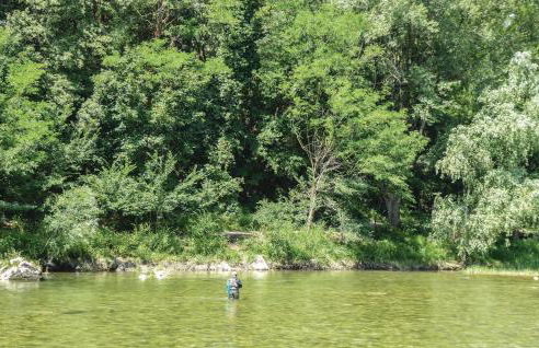 La Casa Delle Api - Photo 54