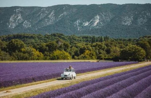 BOHO 2 Vue Panoramique - Foto 18