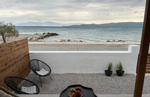 Asaminthos - Foto 26