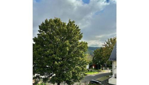 One-bedroom apartment - Foto 3, Other