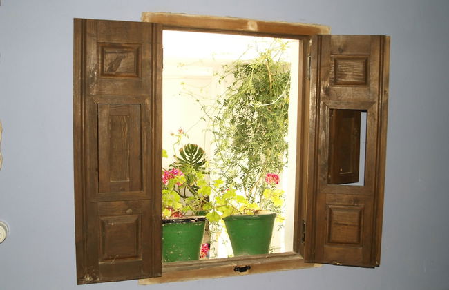 La Casa de Corruco - Foto 3