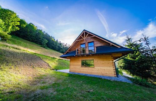 Domek w Górach - Foto 54