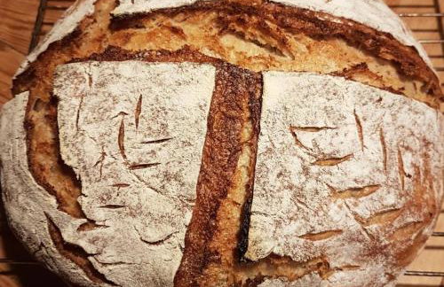 Agroturystyka Wilczyn Cegielnia - Foto 20