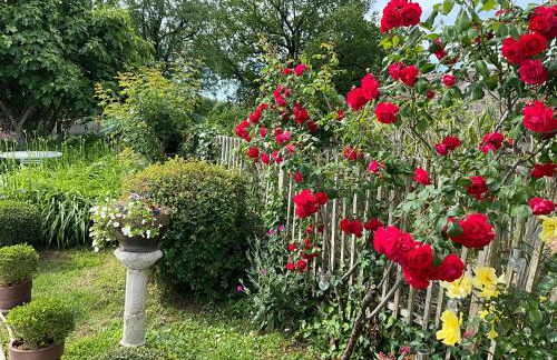 Le Gîte Pérard - Foto 42