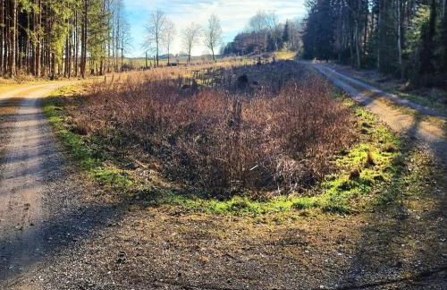 FeWo Lichtblick - Foto 64