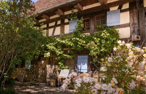 Historischer Vogtshof: eingezäunt | sonniger Garten | Kamin | Denkmalschutz - Foto 54