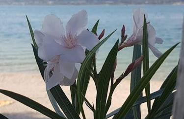 Cosy Corner - Photo 31