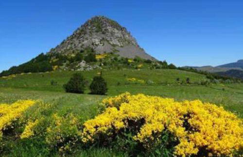 Les Templiers - Foto 25