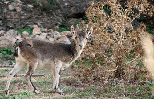 CASA RURAL CELIA con Escape Room - Foto 20