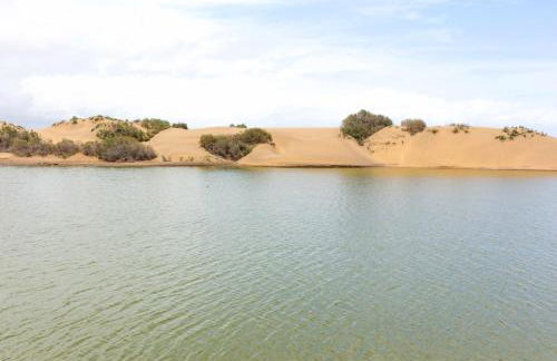 Apartamento Maypa 4 Arena - Foto 28